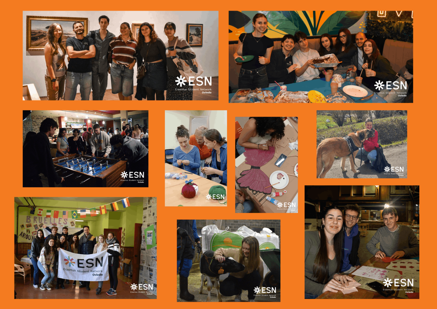 Culture activities collage
